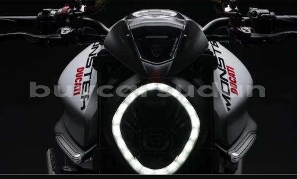 Buy Used Ducati Monster White Bike in Abu Hijar in Sinnar Buy Used Ducati Monster White Bike in Abu Hijar in Sinnar