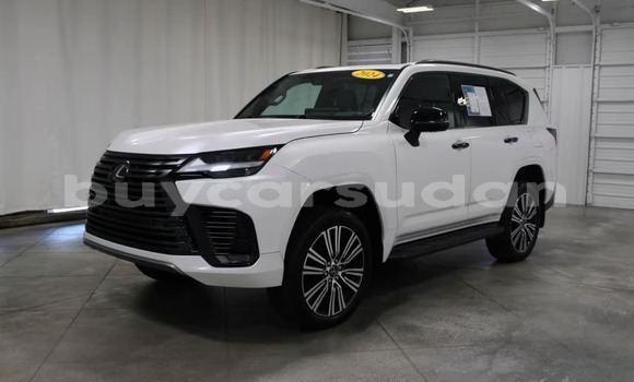 Buy Used Lexus LX White Car in ad–Damazin in an-Nil-al-Azraq Buy Used Lexus LX White Car in ad–Damazin in an-Nil-al-Azraq