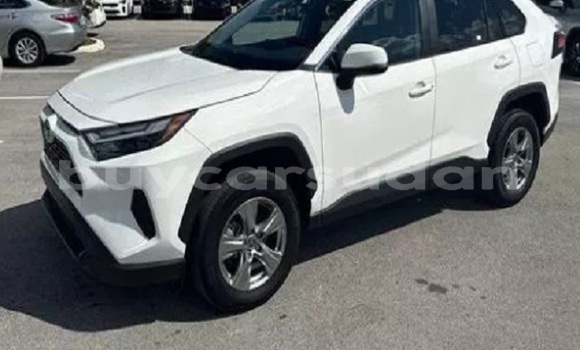 Acheter Occasion Voiture Toyota RAV4 Blanc à ad–Damazin, an-Nil-al-Azraq