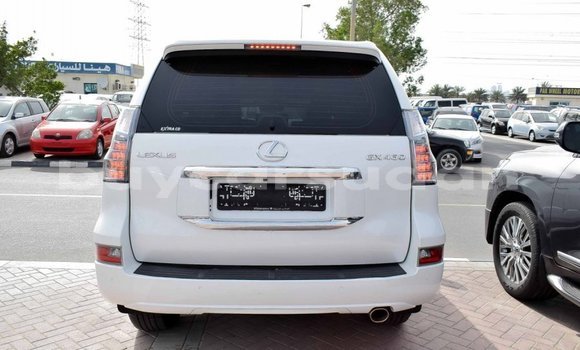 Buy Import Lexus GX White Car in Import - Dubai in Al Jazirah State Buy Import Lexus GX White Car in Import - Dubai in Al Jazirah State