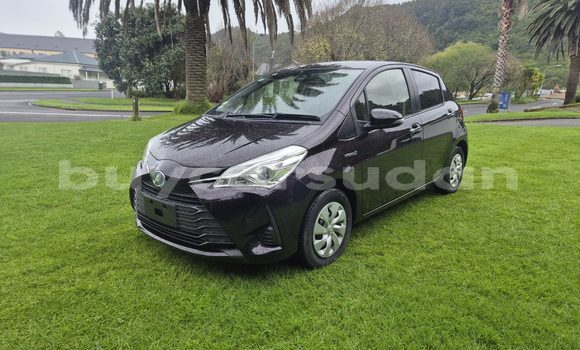 Buy Used Toyota Vitz Black Car in Khartoum in Khartoum