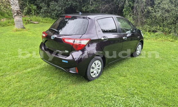 Buy Used Toyota Vitz Black Car in Khartoum in Khartoum Buy Used Toyota Vitz Black Car in Khartoum in Khartoum