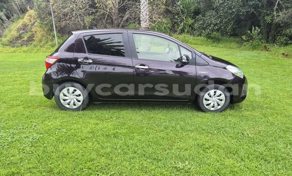 Buy Used Toyota Vitz Black Car in Khartoum in Khartoum Buy Used Toyota Vitz Black Car in Khartoum in Khartoum
