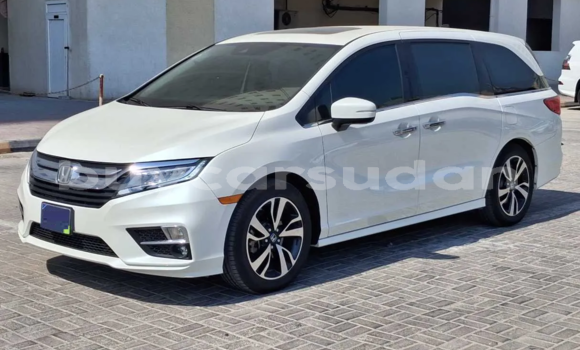 Buy Used Honda Odyssey White Car in Khartoum in Khartoum