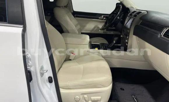 Buy Used Lexus GX White Car in ad–Duwaym in an-Nil-al-Abyad Buy Used Lexus GX White Car in ad–Duwaym in an-Nil-al-Abyad