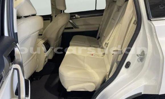 Buy Used Lexus GX White Car in ad–Duwaym in an-Nil-al-Abyad Buy Used Lexus GX White Car in ad–Duwaym in an-Nil-al-Abyad