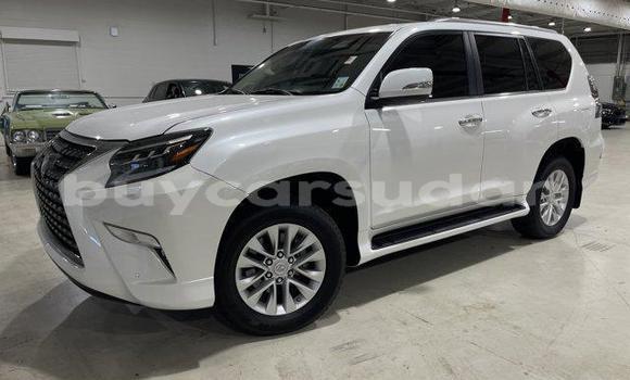 Buy Used Lexus GX White Car in ad–Damazin in an-Nil-al-Azraq