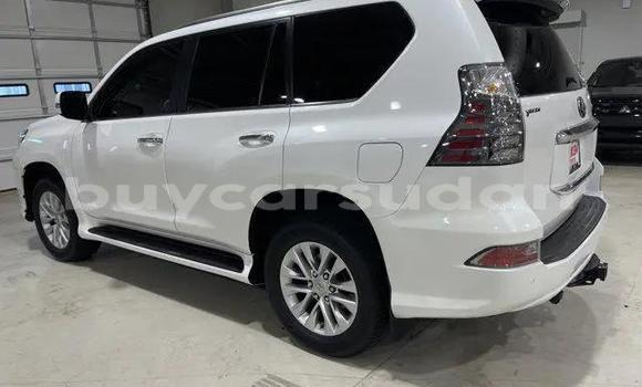 Buy Used Lexus GX White Car in ad–Damazin in an-Nil-al-Azraq Buy Used Lexus GX White Car in ad–Damazin in an-Nil-al-Azraq