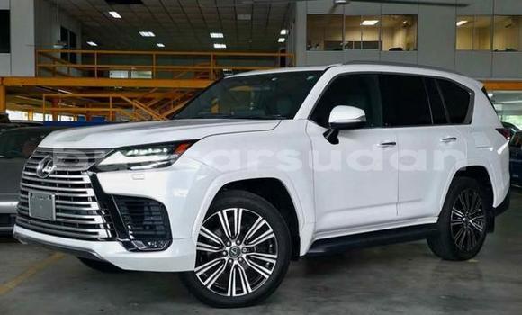 Buy Used Lexus LX White Car in Khartoum in Khartoum