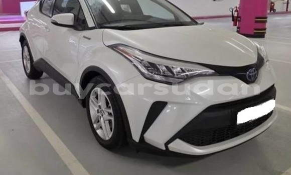 Buy Used Toyota C-HR White Car in Khartoum in Khartoum