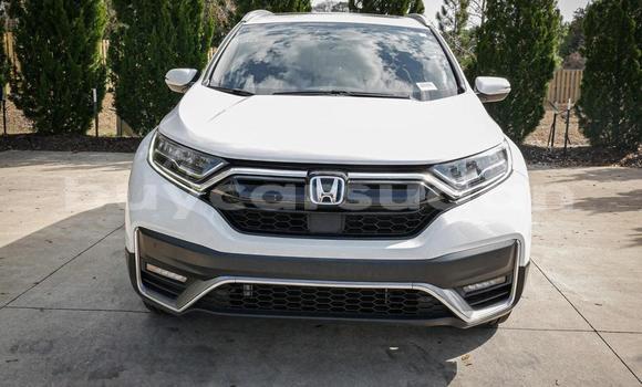 Buy Used Honda CR–V White Car in Khartoum in Khartoum Buy Used Honda CR–V White Car in Khartoum in Khartoum