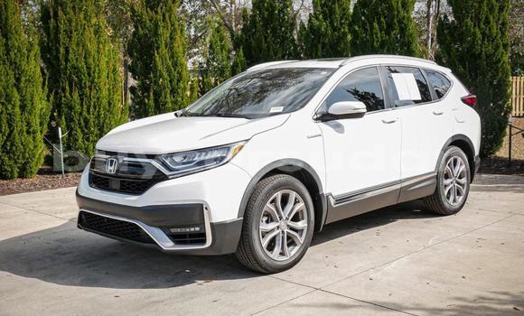 Buy Used Honda CR–V White Car in Khartoum in Khartoum Buy Used Honda CR–V White Car in Khartoum in Khartoum