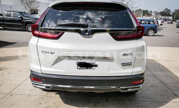 Buy Used Honda CR–V White Car in Khartoum in Khartoum Buy Used Honda CR–V White Car in Khartoum in Khartoum