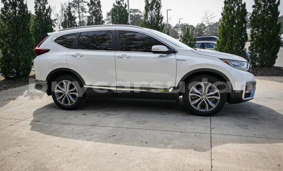 Buy Used Honda CR–V White Car in Khartoum in Khartoum Buy Used Honda CR–V White Car in Khartoum in Khartoum