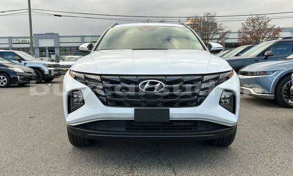 Buy Used Hyundai Tucson White Car in Khartoum in Khartoum Buy Used Hyundai Tucson White Car in Khartoum in Khartoum