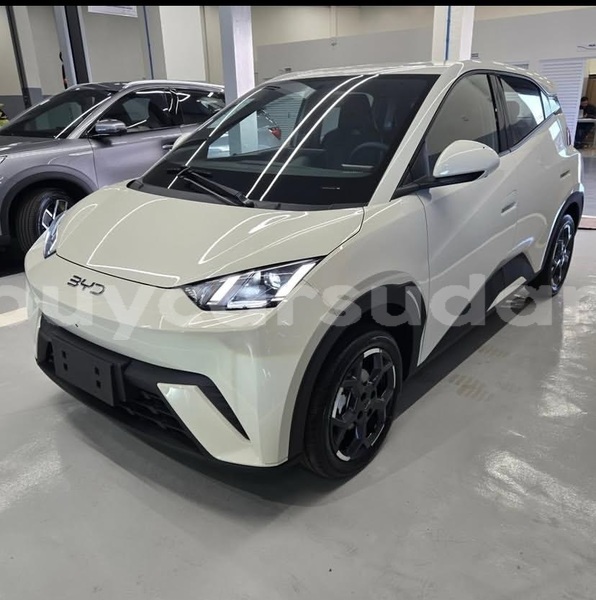 Big with watermark byd seagull khartoum khartoum 4575