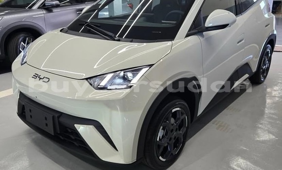 Buy Used BYD Seagull White Car in Khartoum in Khartoum