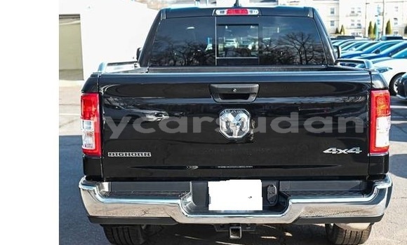 Buy Used Dodge RAM Black Car in Khartoum in Khartoum Buy Used Dodge RAM Black Car in Khartoum in Khartoum