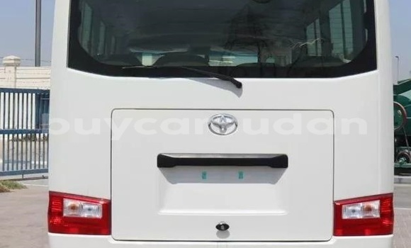 Buy Used Toyota Coaster White Car in Khartoum in Khartoum Buy Used Toyota Coaster White Car in Khartoum in Khartoum
