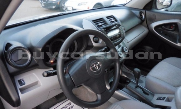 Buy Import Toyota RAV4 Silver Car in al–Kamilin in al-Jazirah Buy Import Toyota RAV4 Silver Car in al–Kamilin in al-Jazirah