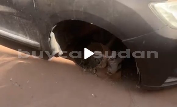 Buy Used Renault 16 Brown Car in al–Khartum in al-Khartum