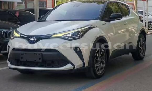 Buy Used Toyota C-HR White Car in Khartoum in Khartoum