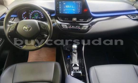 Buy Used Toyota C-HR White Car in Khartoum in Khartoum Buy Used Toyota C-HR White Car in Khartoum in Khartoum