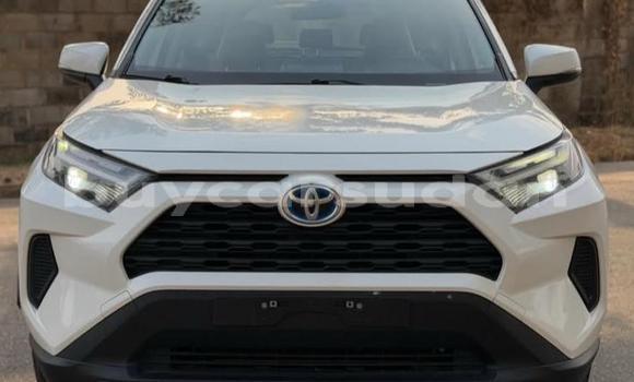 Buy Used Toyota RAV4 White Car in Khartoum in Khartoum