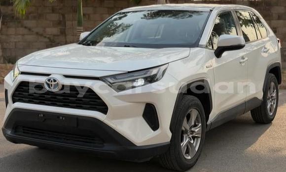 Buy Used Toyota RAV4 White Car in Khartoum in Khartoum Buy Used Toyota RAV4 White Car in Khartoum in Khartoum