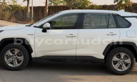 Buy Used Toyota RAV4 White Car in Khartoum in Khartoum Buy Used Toyota RAV4 White Car in Khartoum in Khartoum