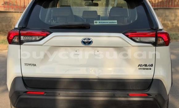 Buy Used Toyota RAV4 White Car in Khartoum in Khartoum Buy Used Toyota RAV4 White Car in Khartoum in Khartoum
