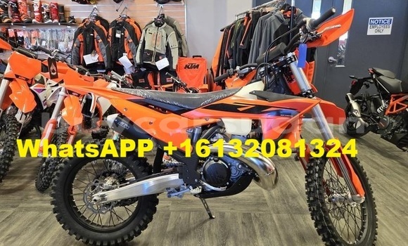 Buy New KTM SX Beige Bike in ad–Dabbah in ash-Shamaliyah Buy New KTM SX Beige Bike in ad–Dabbah in ash-Shamaliyah