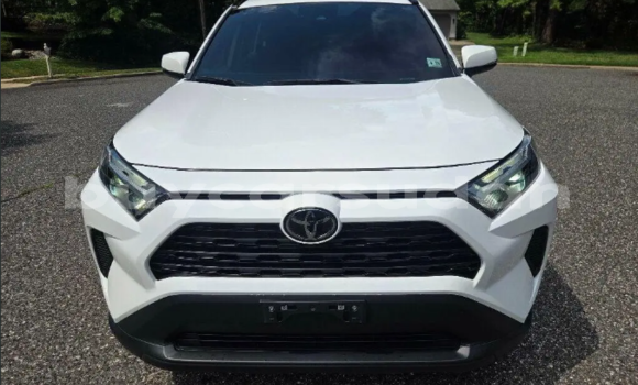 Buy Used Toyota RAV4 White Car in ad–Dindar in Sinnar