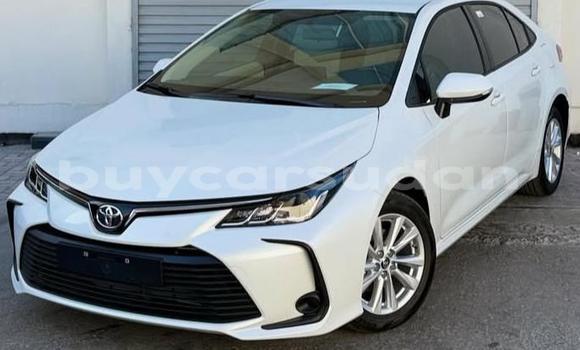 Buy Used Toyota Corolla White Car in Khartoum in Khartoum