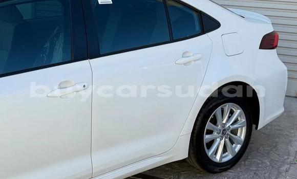 Buy Used Toyota Corolla White Car in Khartoum in Khartoum Buy Used Toyota Corolla White Car in Khartoum in Khartoum