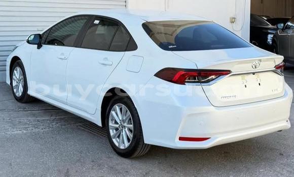 Buy Used Toyota Corolla White Car in Khartoum in Khartoum Buy Used Toyota Corolla White Car in Khartoum in Khartoum