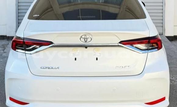 Buy Used Toyota Corolla White Car in Khartoum in Khartoum Buy Used Toyota Corolla White Car in Khartoum in Khartoum