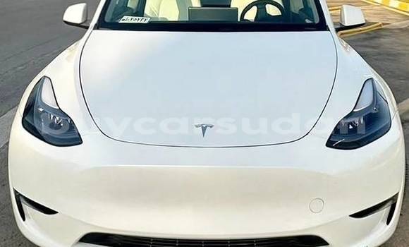 Buy Used Tesla Model X White Car in Khartoum in Khartoum