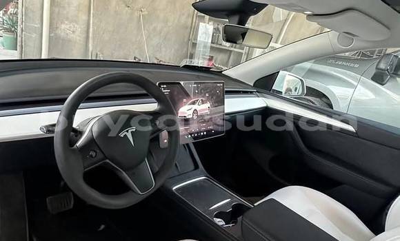 Buy Used Tesla Model X White Car in Khartoum in Khartoum Buy Used Tesla Model X White Car in Khartoum in Khartoum