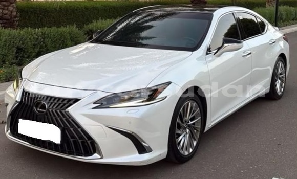 Buy Used Lexus ES White Car in Khartoum in Khartoum