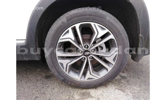 Buy Import Hyundai Santa Fe White Car in Import - Dubai in Al Jazirah State Buy Import Hyundai Santa Fe White Car in Import - Dubai in Al Jazirah State
