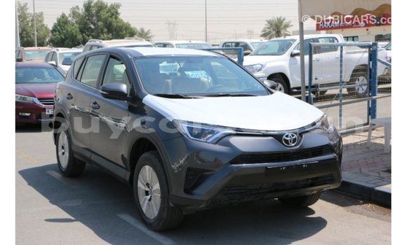 Buy Import Toyota RAV4 Other Car in Import - Dubai in Al Jazirah State Buy Import Toyota RAV4 Other Car in Import - Dubai in Al Jazirah State