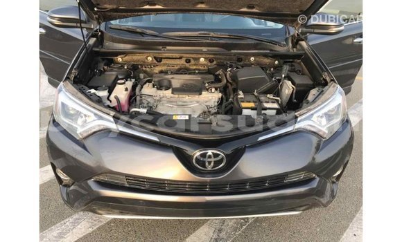 Buy Import Toyota HiAce Black Truck in Import - Dubai in Al Jazirah State Buy Import Toyota HiAce Black Truck in Import - Dubai in Al Jazirah State