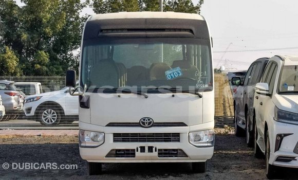 Buy Import Toyota Coaster White Car in Import - Dubai in Al Jazirah State Buy Import Toyota Coaster White Car in Import - Dubai in Al Jazirah State