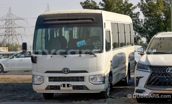 Buy Import Toyota Coaster White Car in Import - Dubai in Al Jazirah State Buy Import Toyota Coaster White Car in Import - Dubai in Al Jazirah State
