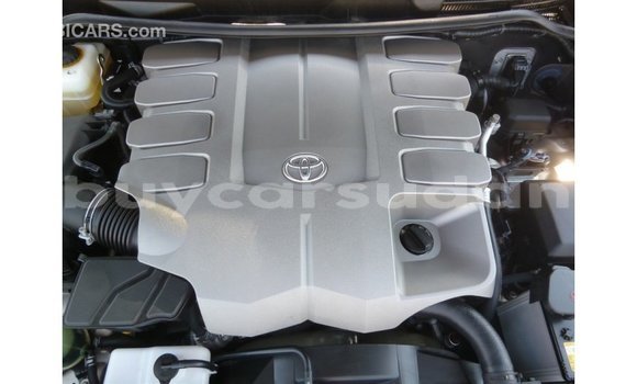 Buy Import Toyota Land Cruiser Other Car in Import - Dubai in Al Jazirah State Buy Import Toyota Land Cruiser Other Car in Import - Dubai in Al Jazirah State