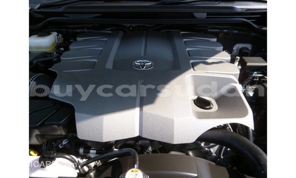 Buy Import Toyota Land Cruiser Other Car in Import - Dubai in Al Jazirah State Buy Import Toyota Land Cruiser Other Car in Import - Dubai in Al Jazirah State