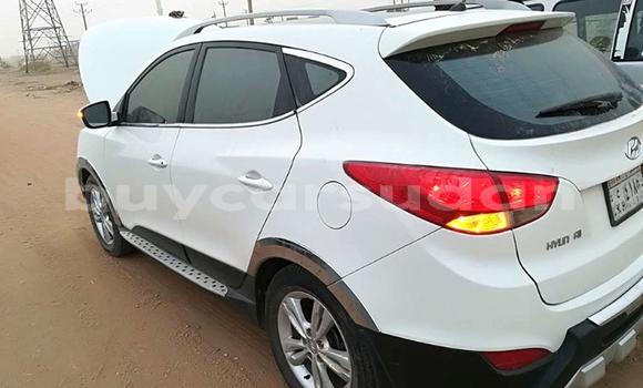 Buy Used Hyundai Tucson White Car in Khartoum in Khartoum Buy Used Hyundai Tucson White Car in Khartoum in Khartoum