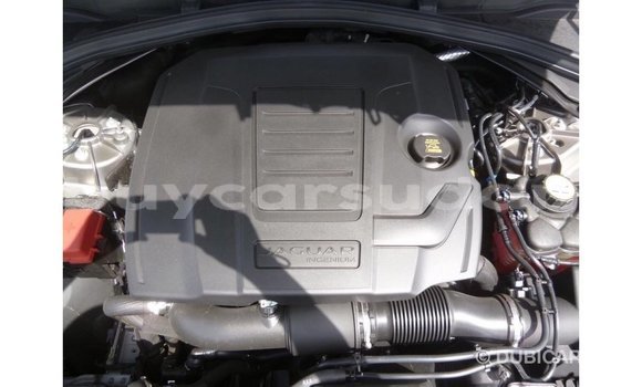 Buy Import Jaguar F-Pace Other Car in Import - Dubai in Al Jazirah State Buy Import Jaguar F-Pace Other Car in Import - Dubai in Al Jazirah State