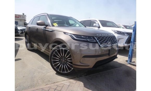 Buy Import Land Rover Range Rover Brown Car in Import - Dubai in Al Jazirah State